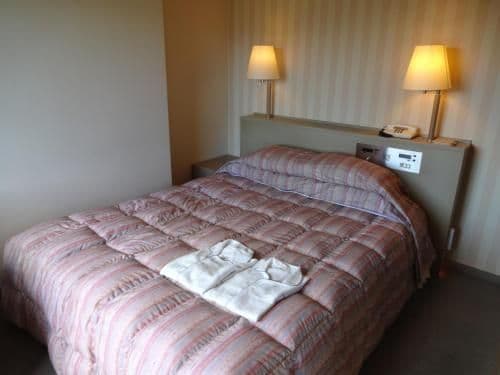 Double Room - Non-Smoking