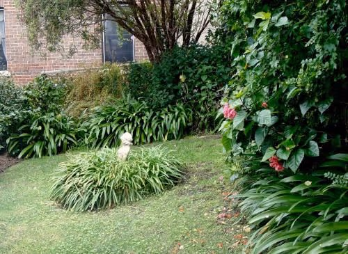 Queen Room with Garden View
