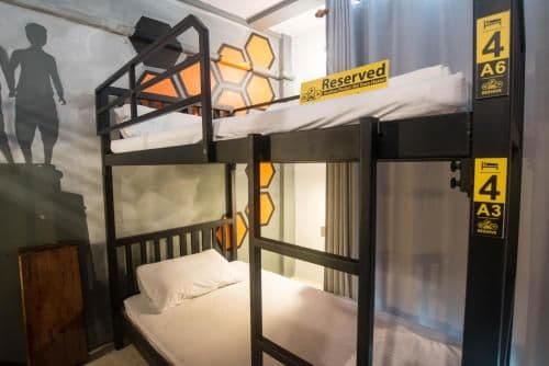 Family Room(4-Bunk Bed)