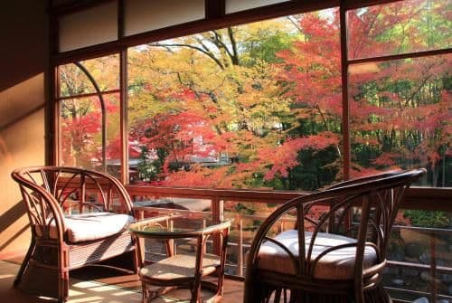 Deluxe Japanese-Style Room with Toilet