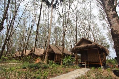 Bamboo Bungalow