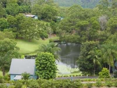 One-Bedroom Cottage- Rosegum
