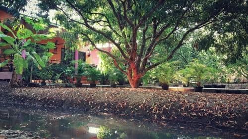 วรากรบ้านสวน อัมพวา วรากรบ้านสวน อัมพวา
