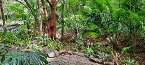 Deluxe Bungalow with Garden View