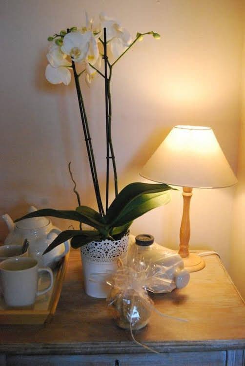 Roineabhal Country House