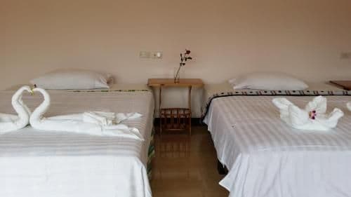 Deluxe Pool View with One Queen Bed and One Single Bed