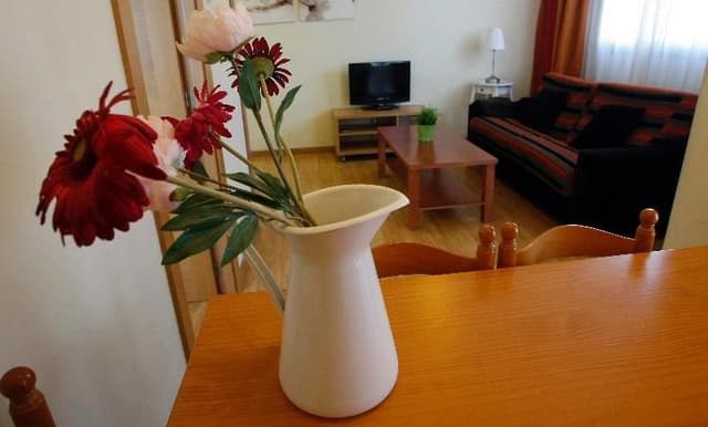APARTMENT CAPACITY 3