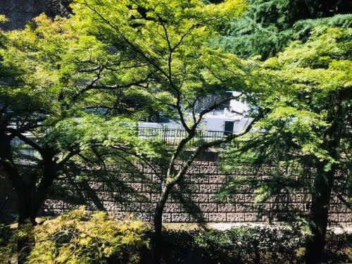Japanese-Style Superior Suite - "Tenraku"