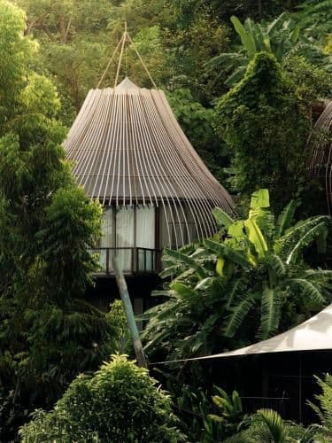 Tree Villa with Private Pool