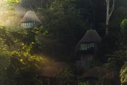 Tree Villa with Private Pool
