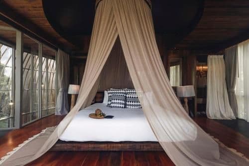 Tree Villa with Private Pool