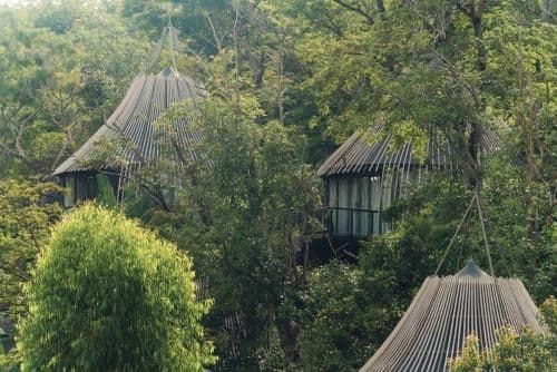 Tree Villa with Private Pool