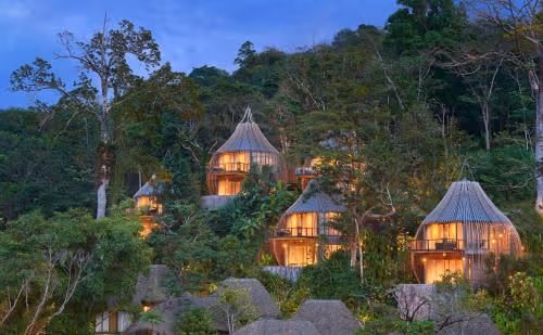 Tree Villa with Private Pool