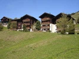 Vieux ValaisTanniger - INH 25650