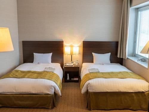 Deluxe Twin Room - Non-Smoking