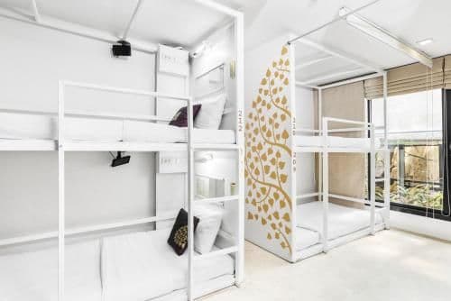 Bunk Bed in Mixed Dormitory Room for 6 people(Superior Room)