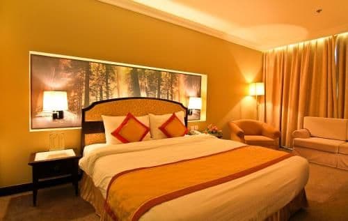 Superior Double or Twin Room with City View