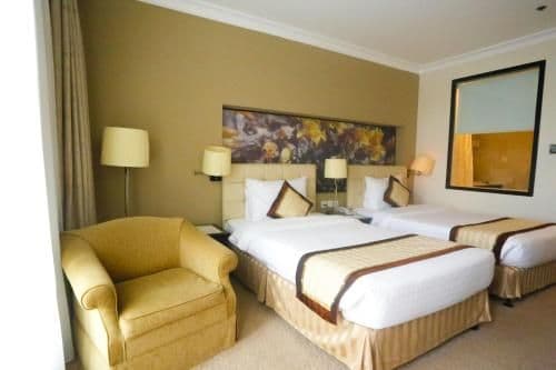 Deluxe Double or Twin Room with City View