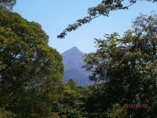 Bungalow- 1