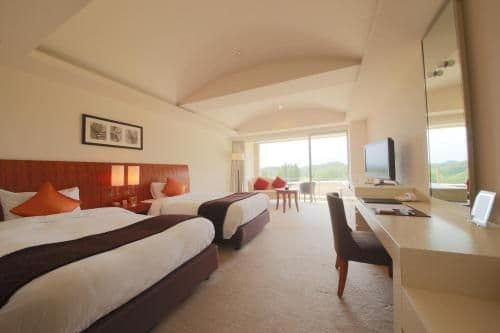 Superior Double or Twin Room