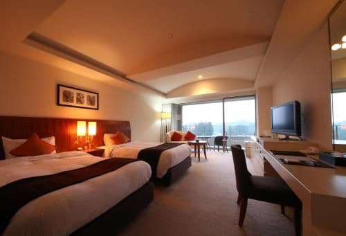 Superior Double or Twin Room
