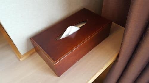 Room with Tatami Area