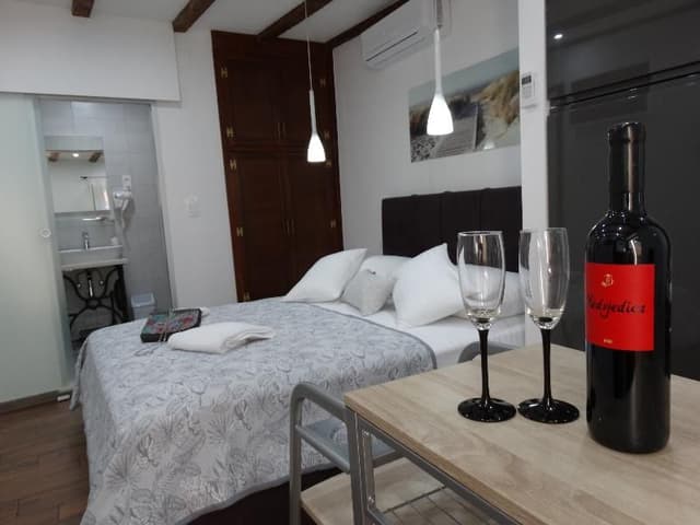APARTMENT CAPACITY 2