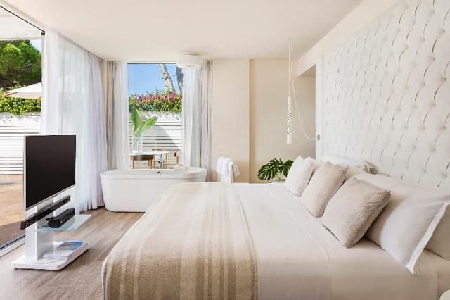 SUITE STANDARD