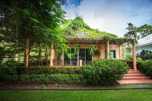 Peach Color House