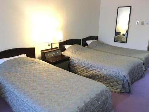 Standard Room - Non-Smoking