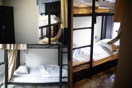 Bunk Bed in 6-Bed Mixed Dormitory Room( D )