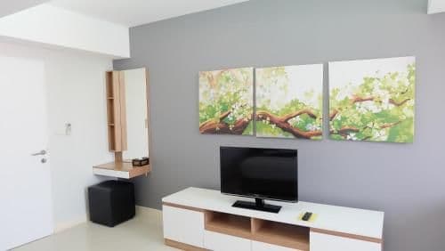 Superior Apartment