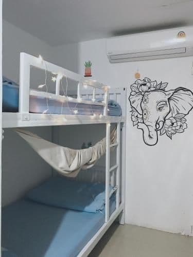 Bunk Bed in Mixed Dormitory Room