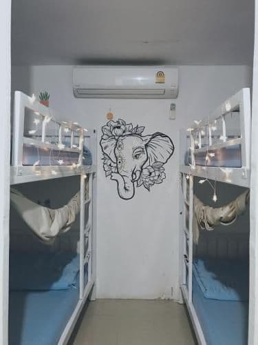 Bunk Bed in Mixed Dormitory Room