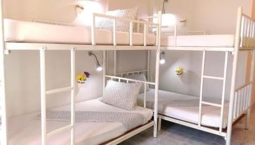 Bunk Bed in Mixed Dormitory Room