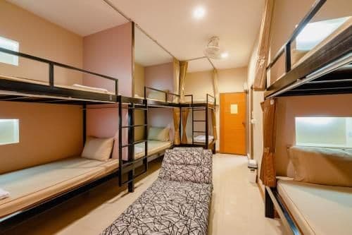 Bunk Bed in Mixed Dormitory Room