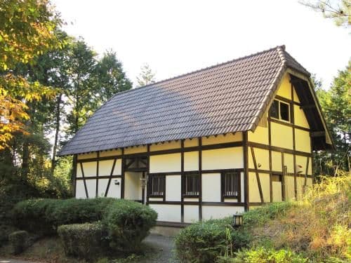 Superior Bungalow (6 Adults)