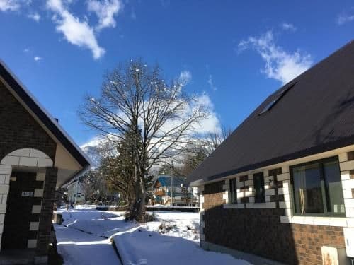 Three-Bedroom Holiday Home
