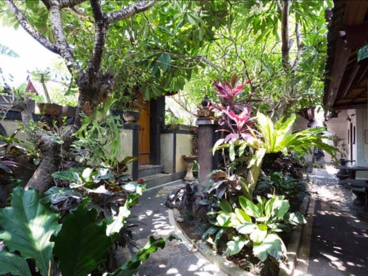 Dana Guesthouse