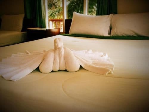 Superior Double or Twin Room - Beach Front