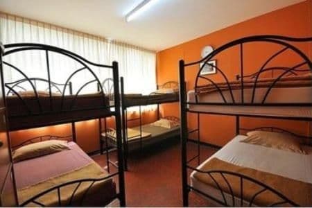 Bunk Bed in Mixed Dormitory Room (6 adults)