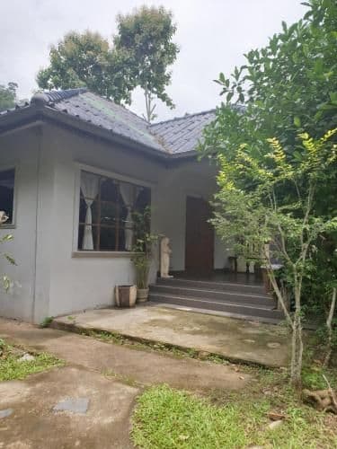 Quadruple Room with Garden View