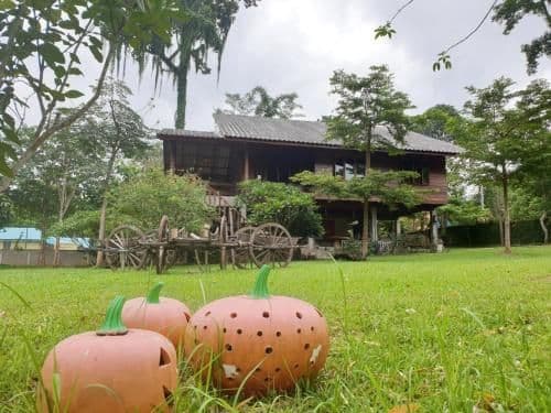 Family Bungalow