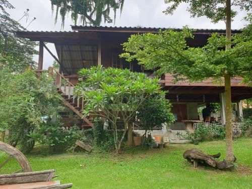Family Bungalow