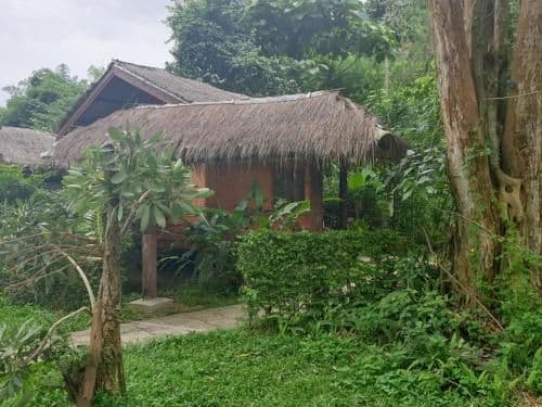 Deluxe Bungalow