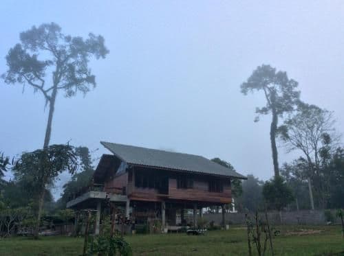 Family Bungalow