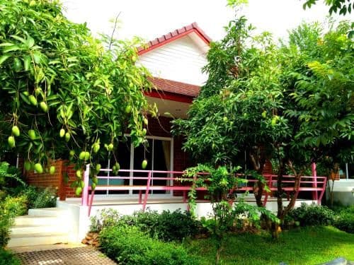 Deluxe Cottage