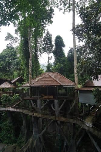Fauna Family Bungalow