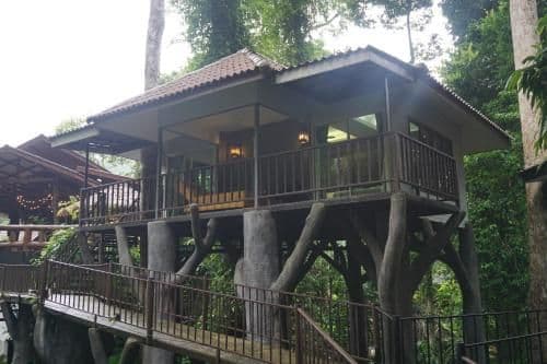 Fauna Family Bungalow