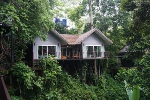 Rafflesia Family Bungalow